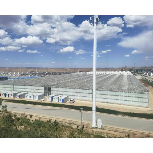 Glass And Sandwich Panel Greenhouse Structure