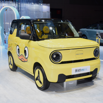 GEELY Panda Mini EV: 4-Seater Affordable New Energy Electric Car for Adults