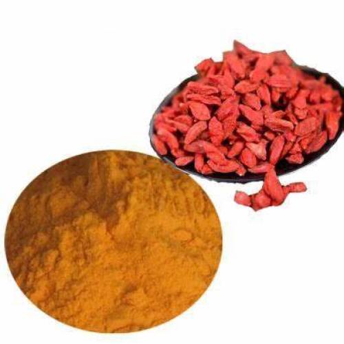 Wholesales Black Goji Berry Extract Powder