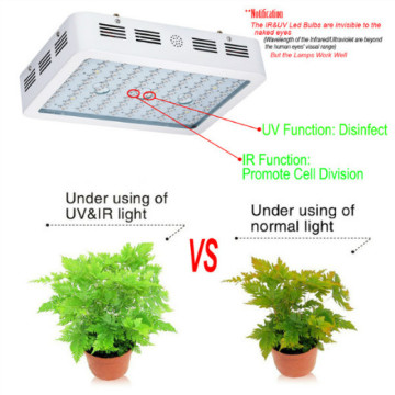 High Quality LED GrowLights For Greenhouse Aquaponics