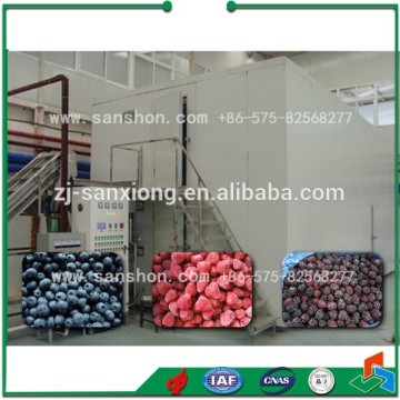 China Berry Fluidize IQF Freezer