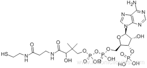 Coenzyme A CAS 85-61-0