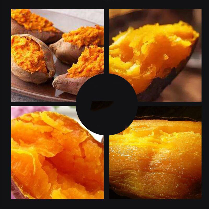 Commercial electric baked sweet potato maker fresh corn roaster machine roast pineapple and apple machine