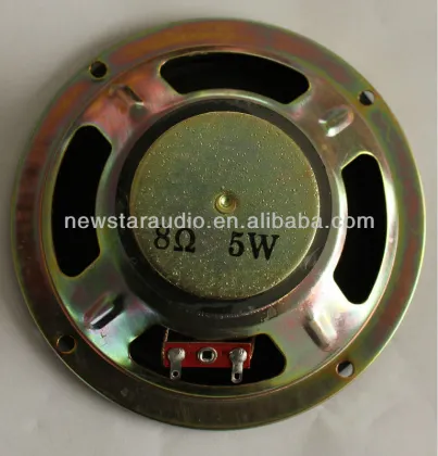 5 w Speaker