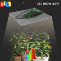 Pisung House Plant Light