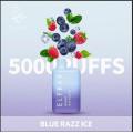 Sour Pomme Elf Bar 5000 Flavour en gros