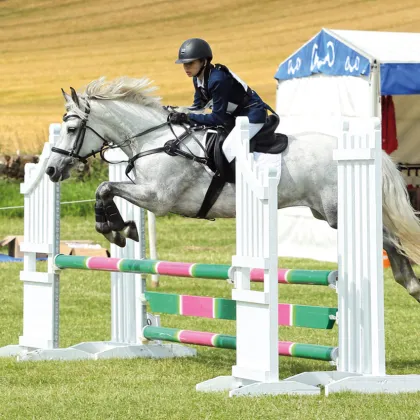 PVC Western Horse Jumping Barriers Plastic Jump Saddle for Horse Riding