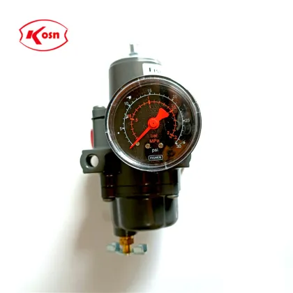 Pressure Reducing Valve and Filter Regulator for Fisher 67C Series Instruments