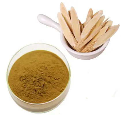 Astragalus extract powder for sale