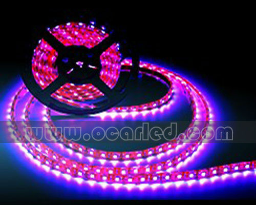 30 leds crystal SMD5050 pink led strip light