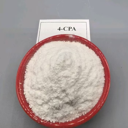 กรด 4-Chlorophenoxyacetic (4-CPA-Na): การใช้ในเอกวาดอร์