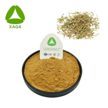 Honegsukle Flower Extract Powder 10:1