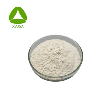Butoconazole Nitrate Powder CAS 64872-77-1