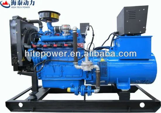 AC Three Phase 20kw LPG Generator for sale with best price and quality
