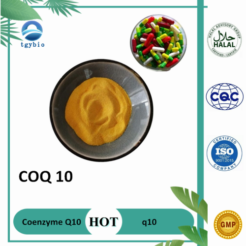 고품질 98%COQ10 코엔자임 Q10 캡슐 코엔자임 Q10