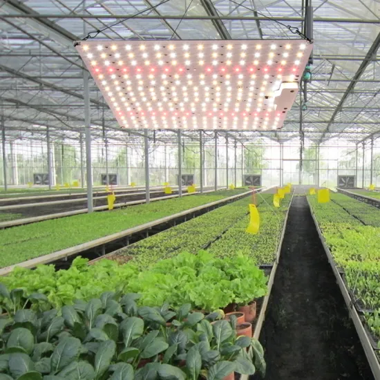 Intelligent Remote Control 1200W Full Spectrum LED Grow Light for Indoor Plants