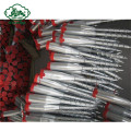 Galvanized Ground Screw Anchor untuk Yayasan Rumah