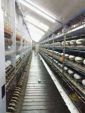 Filament nylon twisted yarn texturted twisting machine
