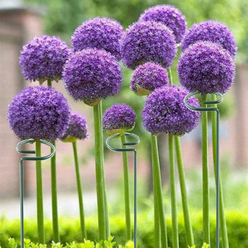 Potting and Gardening Tools: Iron Plant Rack, Support Rods, and Anti-Bending Wires for Enhancing Plant Health and Beauty