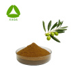 Olijf blad extract hydroxytyrosol poeder 10% hplc