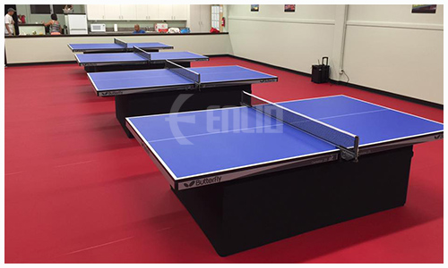 table tennis court 