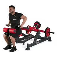 New Design Dips Press Dual System Machine