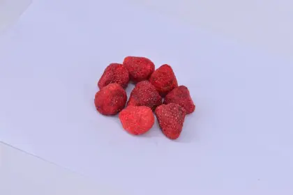Dog's Favorite Fresh Freeze Dried Treats