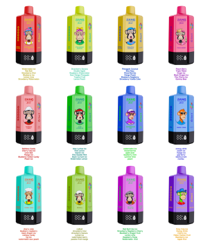 BANG LEADER Stoll 300000 Puff 6 Flaovr Vape
