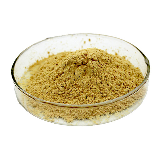 phlorizin powder apple extract in bulk