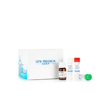 Gefriergetrocknete Zeitpcr-Kit für neuartige Coronavirus 2019-NCOV (ORF1AB, N, E)