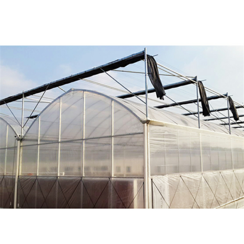 Multi Span Plastic Film Greenhouse For Agriculture