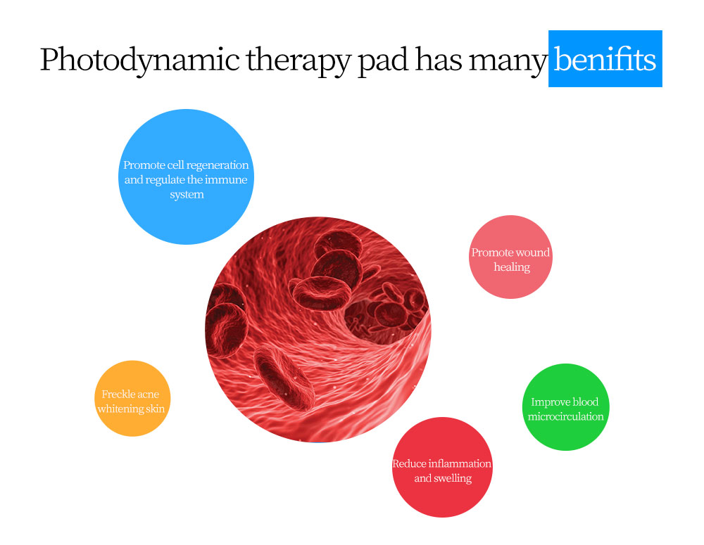 hoe sell red light therapy pad in clinic and home LED light therapy equipment