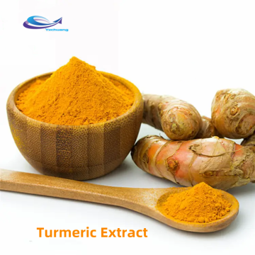 Natural turmeric Root Extract Curcumin Powder Curcumin 95%