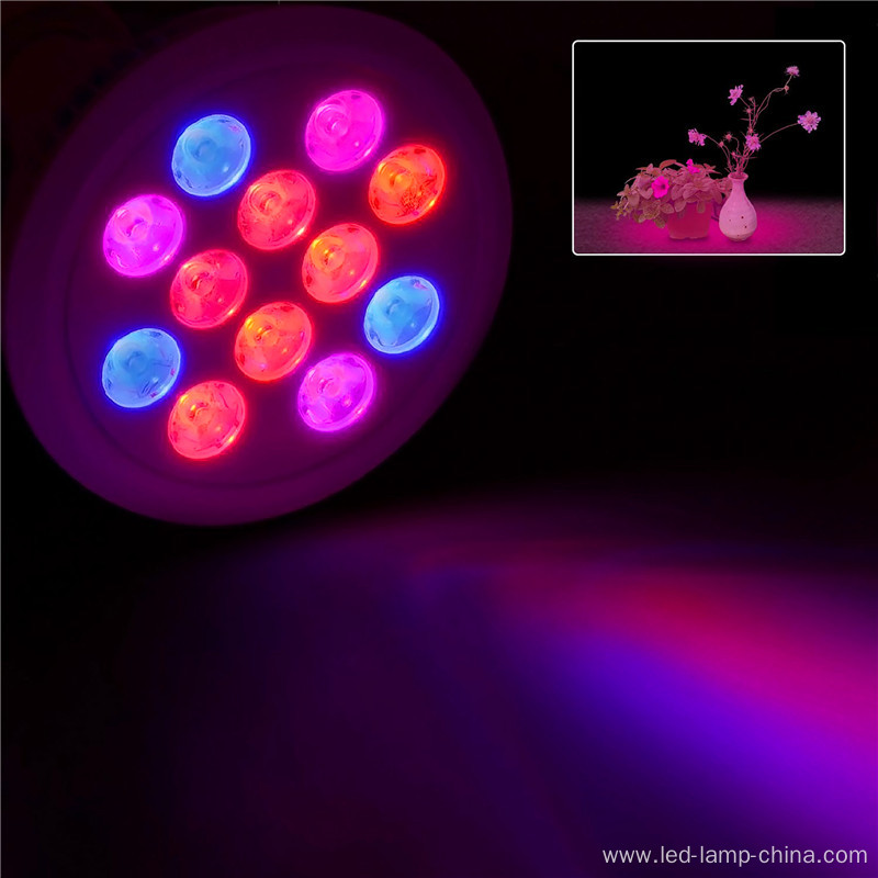 Helper Of Family Plant Light And greenhouse 12w Par LED grow light