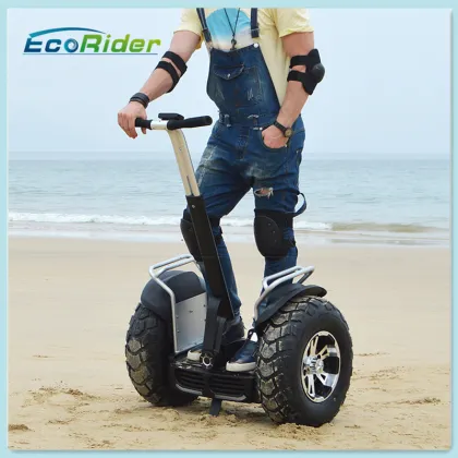 China off Road Electric Bicycle Electric Dirt Bike E-Bicycle