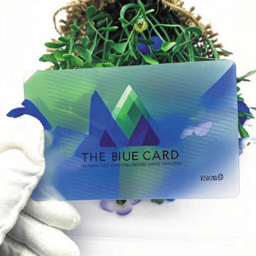 Long-Life PVC Cards for Business: Custom Printed Cards with Logo