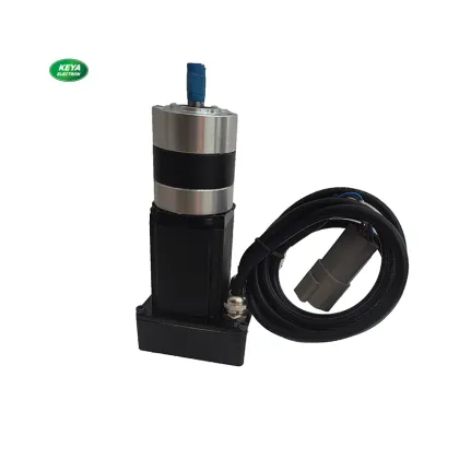 High Precision BLDC Servo Motor Special for Seeder Planting
