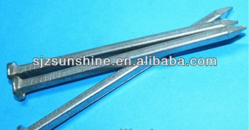 galvanized square boat nail