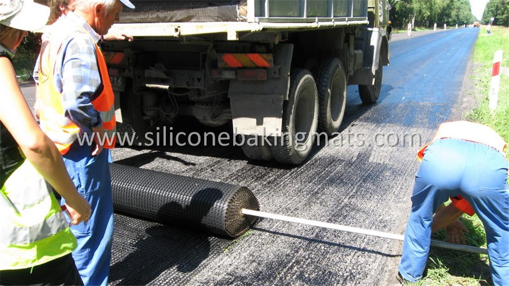 Asphalt Pavement Mesh