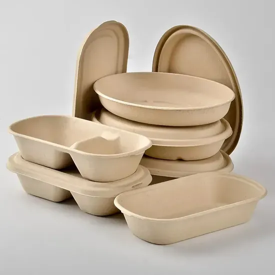 Compostable 9 Inch Pulp Paper Plates for Zero-Waste Events