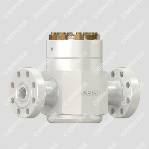 Lift Check Valve
