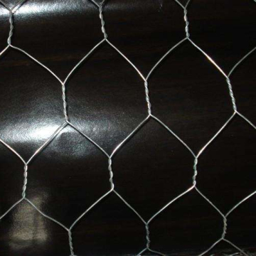Hot Dip Galvanized Hexagonal Wire Netting and Mesh: Ideal for Chicken Caging and Beyond