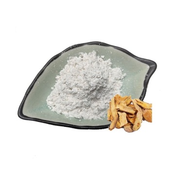 The Hottest Product Of Polygonum Cuspidatum Root Extract