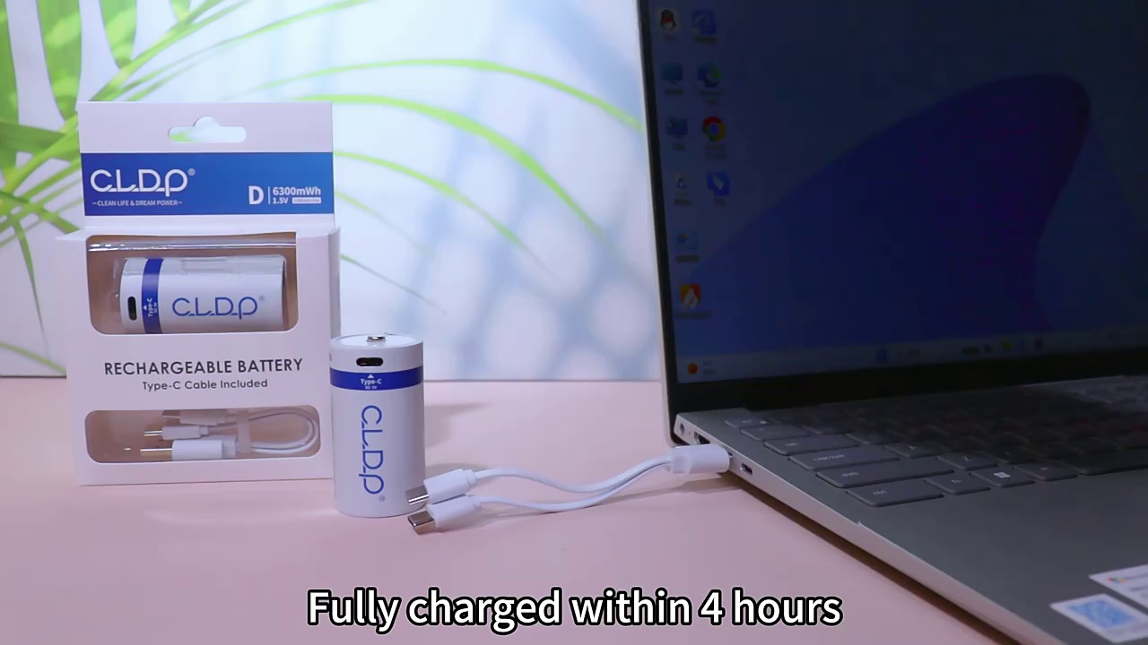1.5V Lithium USB rechargeable D battery