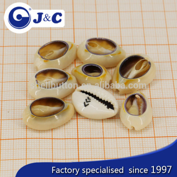 2015 fashion OEM Cowries shell button