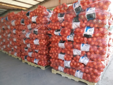 Mesh Bag Packing Fresh Organic Red Onion