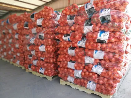 Red Onions Yellow Onions for Sale