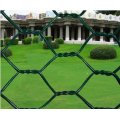 Galvanized and Electro galvanized  Hexagonal Wire Mesh