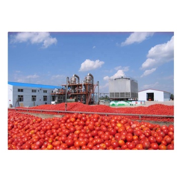 Tomato Paste Making Machine Line