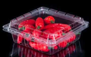 Square Flip Transparent Fruit Packaging Box